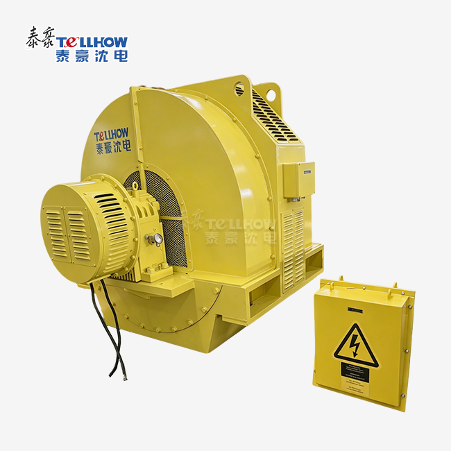 Pump synchronous motor